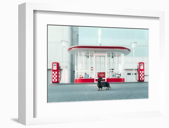 The Dog in the Gas Station-Heike Willers-Framed Photographic Print