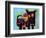 The Dog Sees It’s Tail-Susse Volander-Framed Art Print