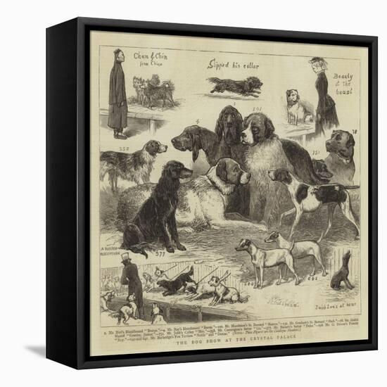 The Dog Show at the Crystal Palace-John Charles Dollman-Framed Premier Image Canvas