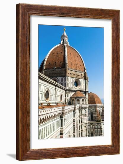 The Dome of the Duomo Santa Maria Del Fiore, Florence (Firenze),Tuscany, Italy, Europe-Nico Tondini-Framed Photographic Print