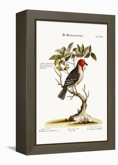 The Dominican-Cardinal, 1749-73-George Edwards-Framed Premier Image Canvas