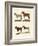 The Donkey and its Varieties-null-Framed Giclee Print