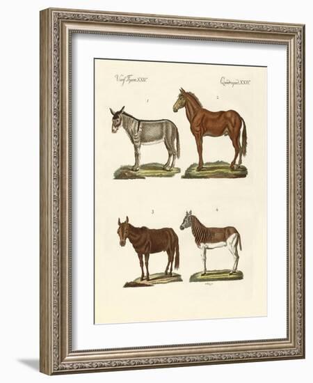 The Donkey and its Varieties-null-Framed Giclee Print