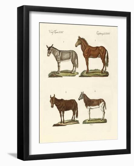 The Donkey and its Varieties-null-Framed Giclee Print