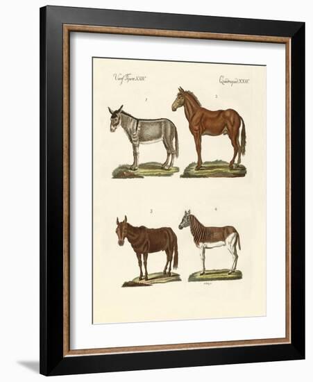 The Donkey and its Varieties-null-Framed Giclee Print