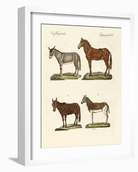 The Donkey and its Varieties-null-Framed Giclee Print