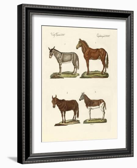 The Donkey and its Varieties-null-Framed Giclee Print