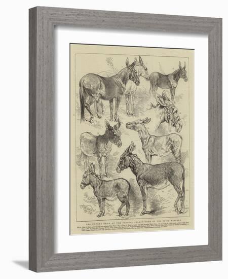 The Donkey Show at the Crystal Palace, Some of the Prize Winners-Harrison William Weir-Framed Giclee Print