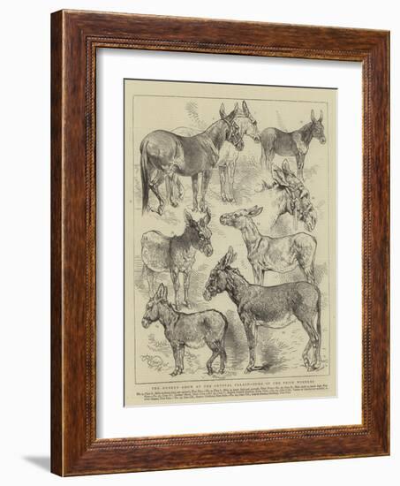 The Donkey Show at the Crystal Palace, Some of the Prize Winners-Harrison William Weir-Framed Giclee Print