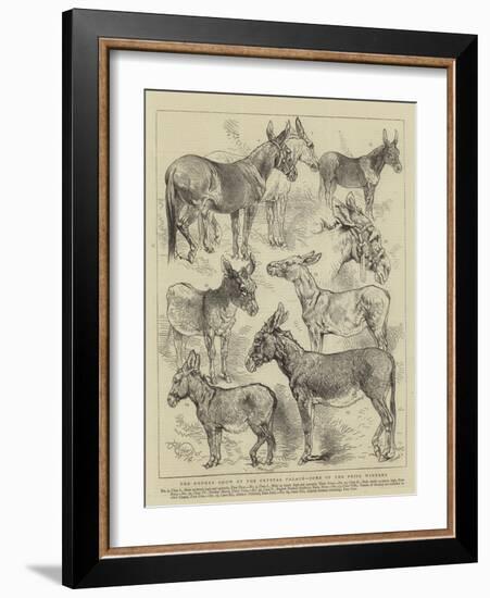 The Donkey Show at the Crystal Palace, Some of the Prize Winners-Harrison William Weir-Framed Giclee Print