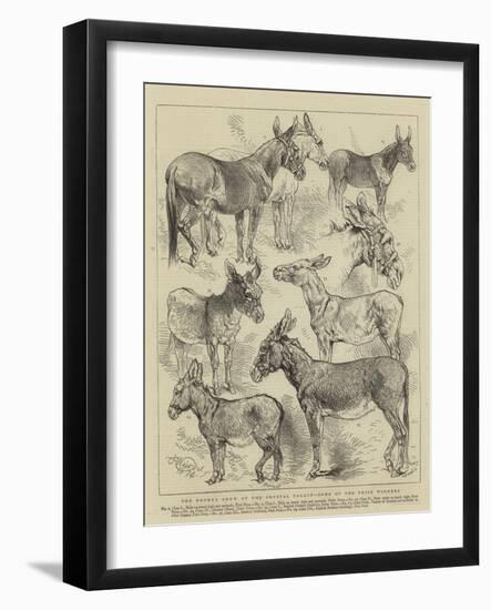 The Donkey Show at the Crystal Palace, Some of the Prize Winners-Harrison William Weir-Framed Giclee Print