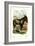 The Donkey-null-Framed Art Print