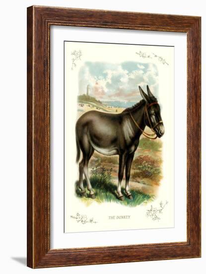 The Donkey-null-Framed Art Print