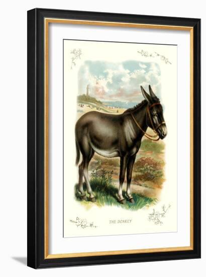 The Donkey-null-Framed Art Print