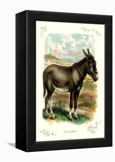 The Donkey-null-Framed Stretched Canvas