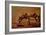 The Donkey-Gustave Courbet-Framed Giclee Print