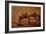 The Donkey-Gustave Courbet-Framed Giclee Print