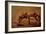 The Donkey-Gustave Courbet-Framed Giclee Print