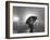 The Doorman Standing in the Rain Outside the Empire Theatre For the Royal Film Performance-Cornell Capa-Framed Photographic Print