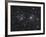 The Double Cluster, NGC 884 and NGC 869, as Seen in the Constellation of Perseus-Stocktrek Images-Framed Photographic Print