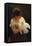 The Dove-John Nash-Framed Premier Image Canvas