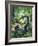 The Dragon of Birchwood-Mcbride-Framed Giclee Print