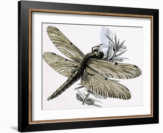 The Dragonfly-R. B. Davis-Framed Giclee Print