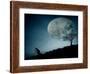 The Dreamer-Final Toto-Framed Photographic Print