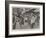 The Dreyfus Excitement in Paris, Scene on the Boulevards During the Re-Trial of Dreyfus-null-Framed Giclee Print