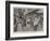 The Dreyfus Excitement in Paris, Scene on the Boulevards During the Re-Trial of Dreyfus-null-Framed Giclee Print