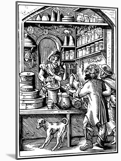 The Druggist's Shop, 1568-Jost Amman-Mounted Giclee Print
