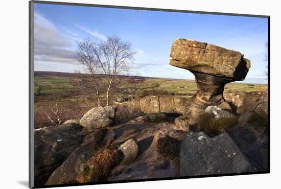 The Druids Writing Desk at Brimham Rocks, Nidderdale, North Yorkshire, England, UK-Mark Sunderland-Mounted Photographic Print