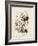 The Duchess, C.1865-John Tenniel-Framed Giclee Print