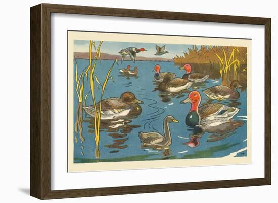 The Ducks And The Ugly Duckling-Hauman-Framed Art Print