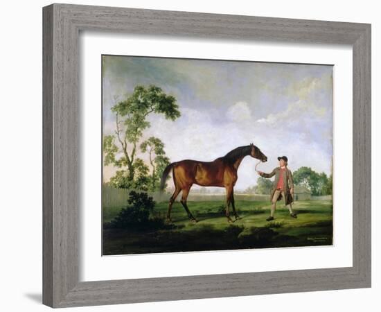 The Duke of Ancaster's Bay Stallion "Spectator", Held by a Groom, c.1762-5-George Stubbs-Framed Giclee Print