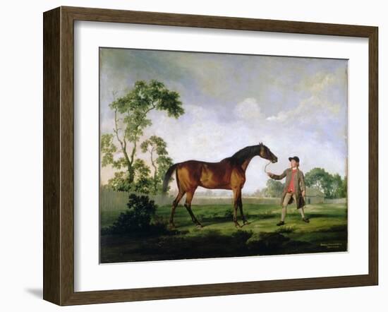 The Duke of Ancaster's Bay Stallion "Spectator", Held by a Groom, c.1762-5-George Stubbs-Framed Giclee Print