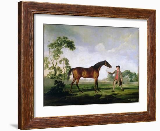 The Duke of Ancaster's Bay Stallion "Spectator", Held by a Groom, c.1762-5-George Stubbs-Framed Giclee Print