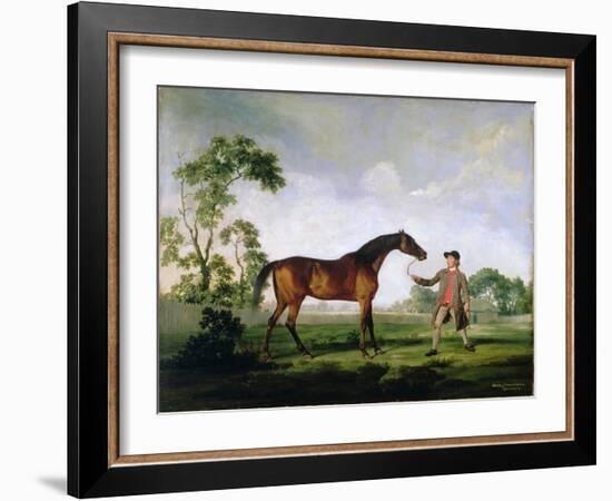 The Duke of Ancaster's Bay Stallion "Spectator", Held by a Groom, c.1762-5-George Stubbs-Framed Giclee Print