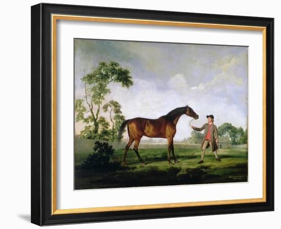 The Duke of Ancaster's Bay Stallion "Spectator", Held by a Groom, c.1762-5-George Stubbs-Framed Giclee Print