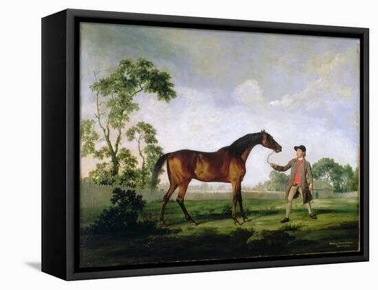 The Duke of Ancaster's Bay Stallion "Spectator", Held by a Groom, c.1762-5-George Stubbs-Framed Premier Image Canvas