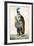 The Duke of Bellegarde, C17th Centiury-null-Framed Giclee Print