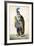 The Duke of Bellegarde, C17th Centiury-null-Framed Giclee Print