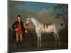 The Duke of Cumberlands Grey Racehorse Crab held by a Groom-James Seymour-Mounted Giclee Print