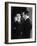 The Duke of Kent-Cecil Beaton-Framed Photographic Print