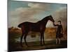 The Duke of Malboroughs Bay Hunter with a Groom-George Stubbs-Mounted Giclee Print
