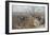 The Duke of Rutland's Hounds-Lionel Edwards-Framed Premium Giclee Print