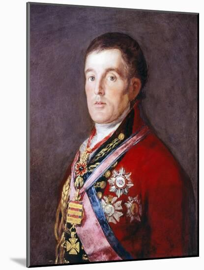 The Duke of Wellington, 1812-1814-Suzanne Valadon-Mounted Giclee Print