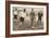 The Duke of York ,Charity Football Match, Tottenham Hotspurs and Corinthians, C1921-null-Framed Photographic Print