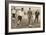 The Duke of York ,Charity Football Match, Tottenham Hotspurs and Corinthians, C1921-null-Framed Photographic Print