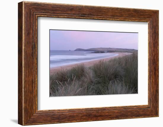 The dunes and beach at Constantine Bay, Cornwall, England, United Kingdom, Europe-Jon Gibbs-Framed Photographic Print